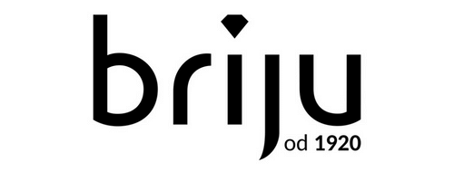 Logo firmy Briju