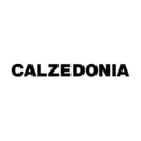 Logo firmy Calzedonia