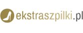 Logo firmy Ekstraszpilki