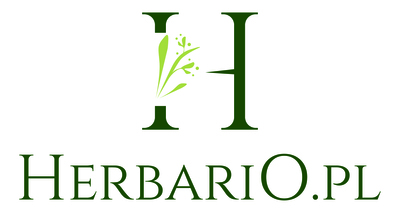 Logo firmy Herbario