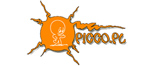 Logo firmy Picco.pl